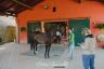 Palio 16 agosto 2019: la fotogallery della seconda giornata di Previsite
